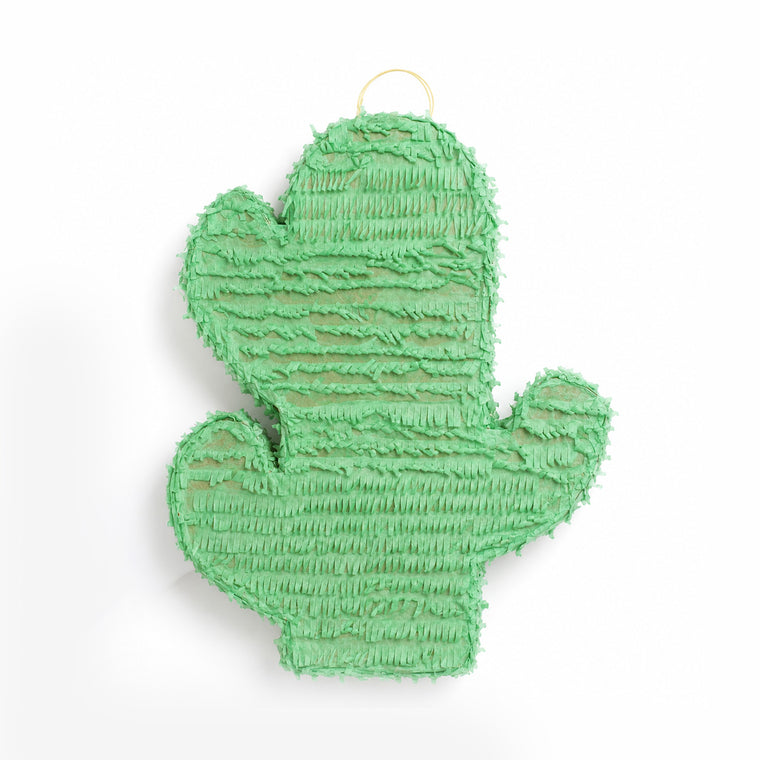 Parttyhub cute cactus pinata | CTCAC | Pack 1