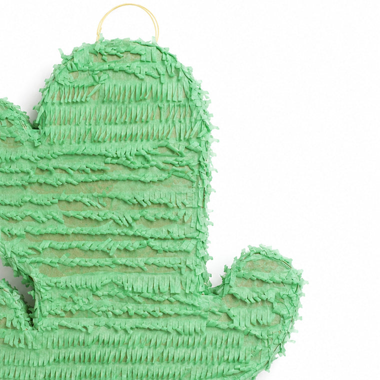 Parttyhub cute cactus pinata | CTCAC | Pack 1