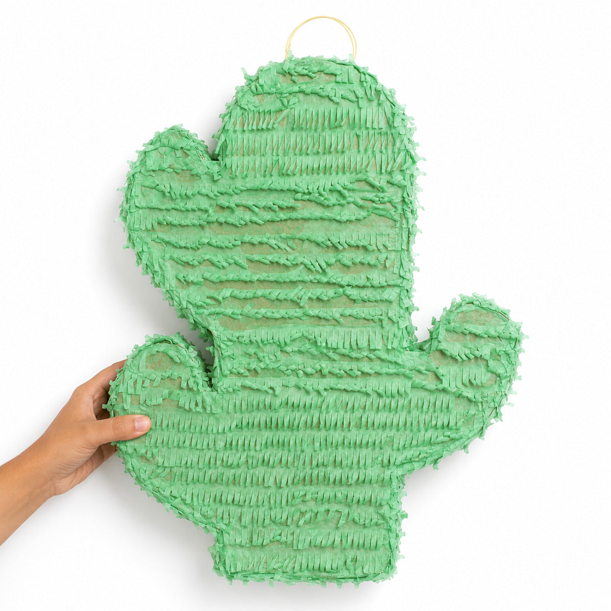 Parttyhub cute cactus pinata | CTCAC | Pack 1