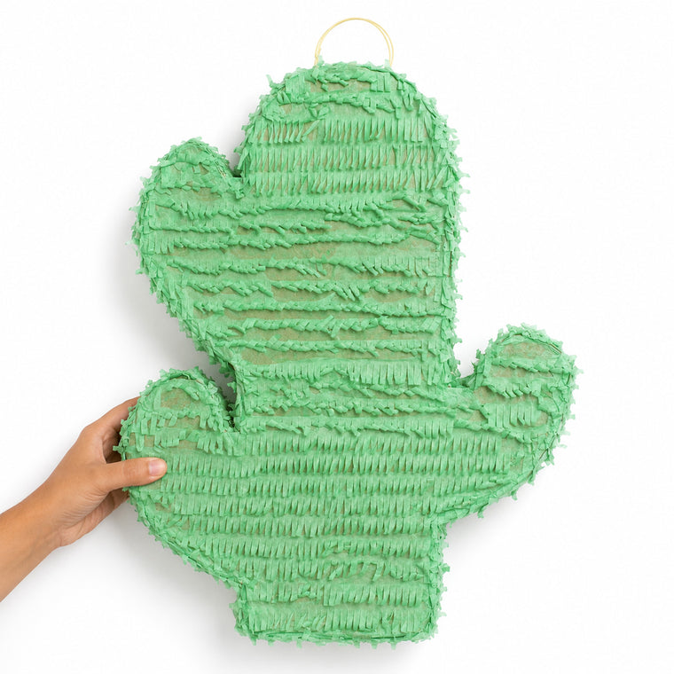 Parttyhub cute cactus pinata | CTCAC | Pack 1
